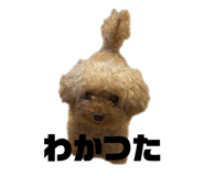 847384871