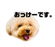 847384872