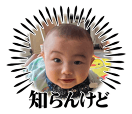 847386034