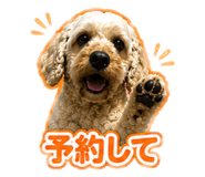 847386785