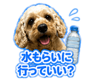 847386790