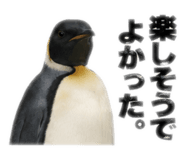 847390724