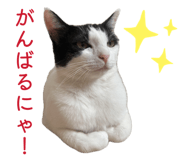 847391170
