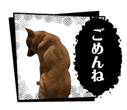 847393169