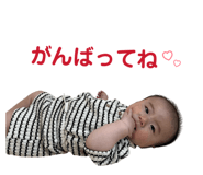 847393884