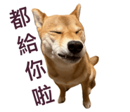 847395740