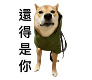 847395741