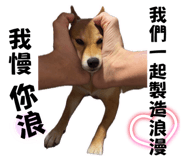 847395745