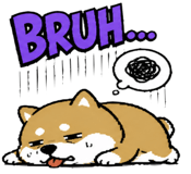 847396978
