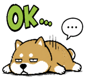 847396981
