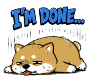 847397008