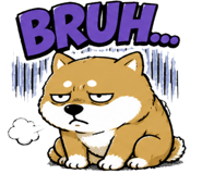 847397013
