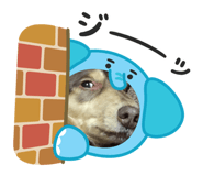 847402905