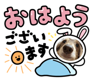 847402907