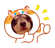 847402910