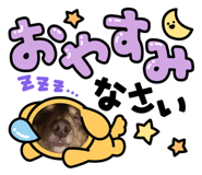 847402911