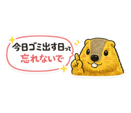 847404001