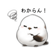 847404294