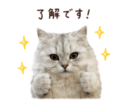 847408320