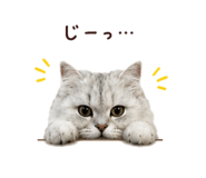 847408331