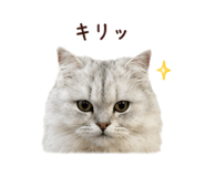 847408335