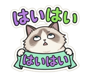 847410235