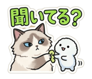 847410239