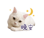 847410588