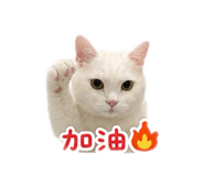 847410600