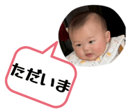 847413644