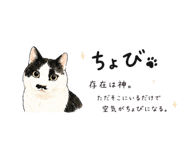 847414201