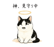 847414214