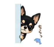 847414363