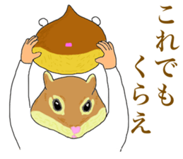 8474146