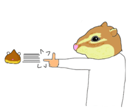 8474155