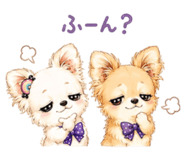 847415596