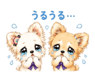 847415601
