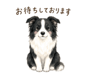 847424322