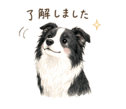 847424323