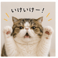 847424574