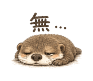 847424627