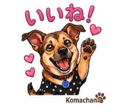 847426863