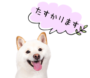 847428873