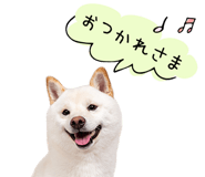 847428875