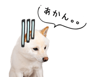 847428876