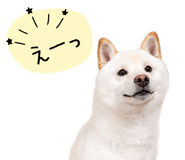 847428877