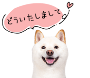 847428878