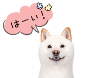 847428880
