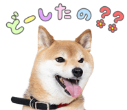 847429230
