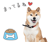 847429232